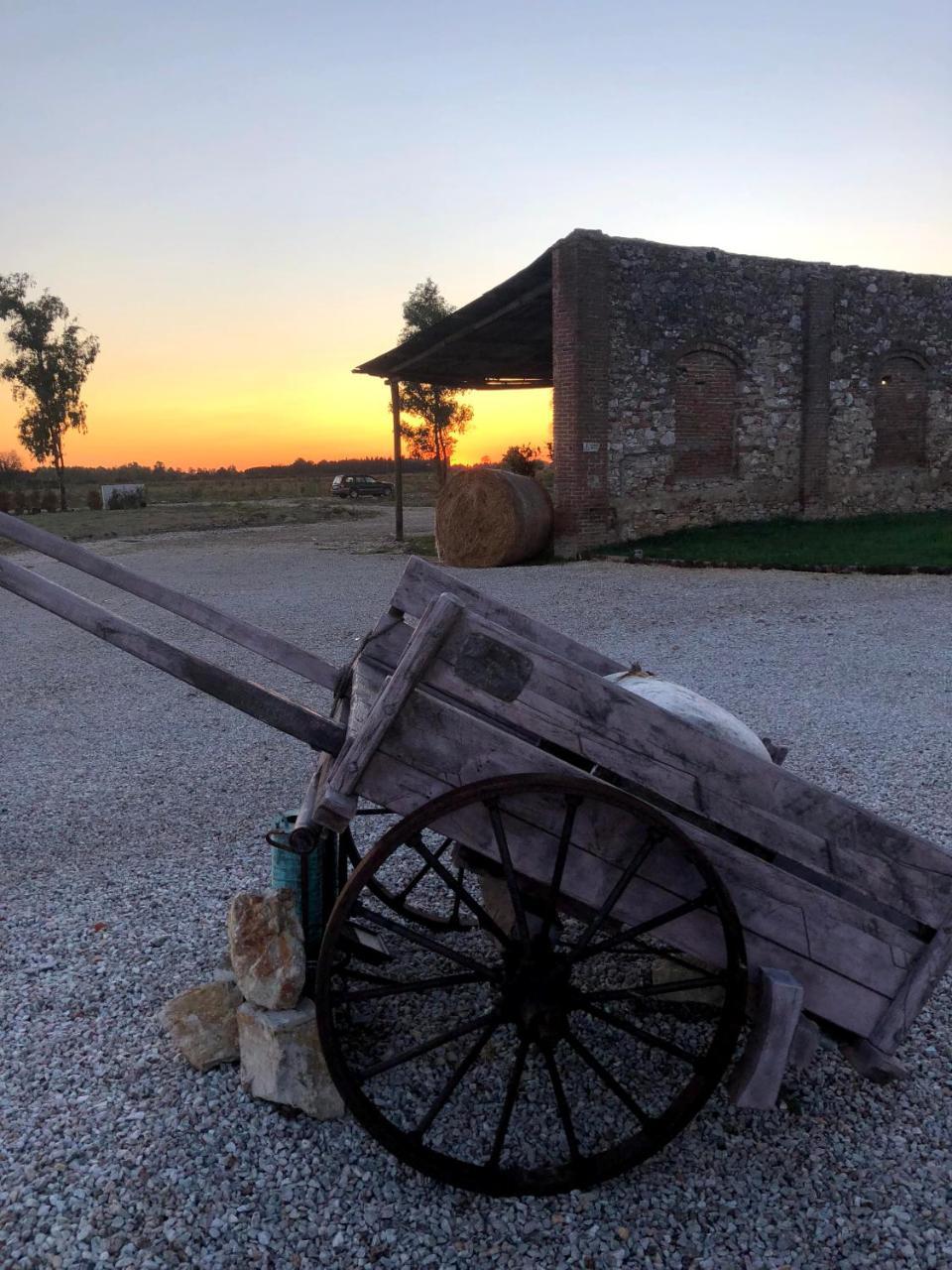 Villa Fattoria L'Olmetto Pisa Exterior foto